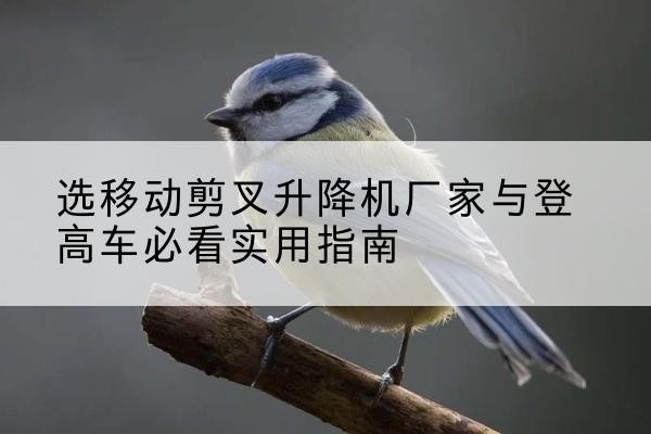 道县电动升降机厂家-选移动剪叉升降机厂家与登高车必看实用指南