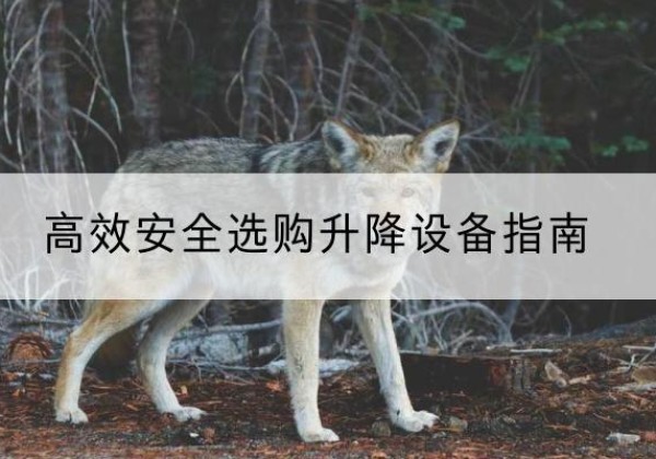 道县升降货梯厂家推荐-*安全选购升降设备指南