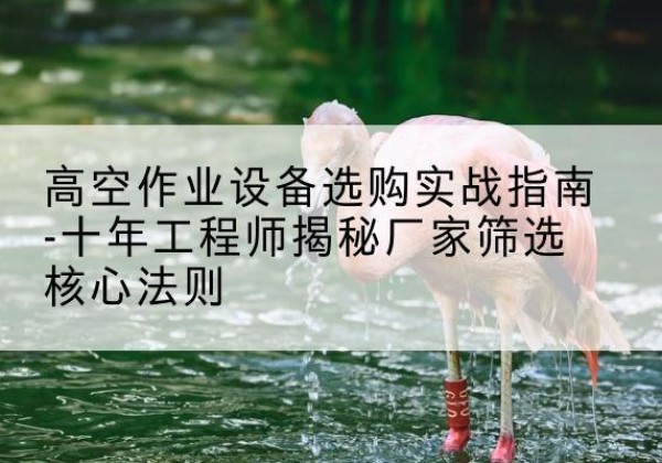 道县剪叉式升降机厂家-高空作业设备选购实战指南-十年工程师揭秘厂家筛选核心法则
